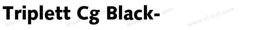 Triplett Cg Black字体转换